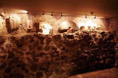 Fornleifakjallari &aacute; Bessast&ouml;&eth;um